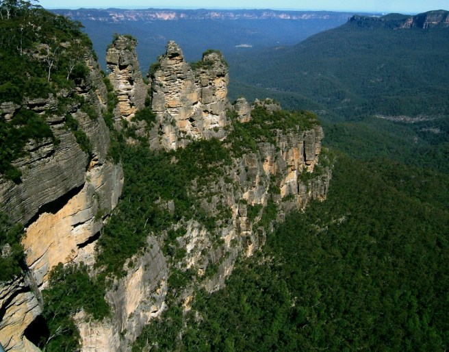 Australia Blue Gum Forest