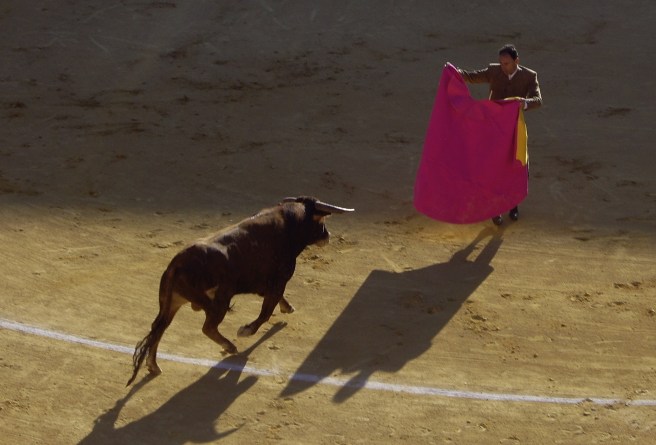 bullfight2