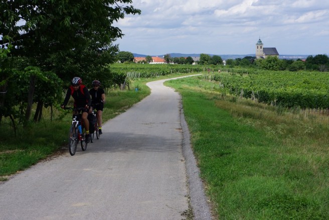 Neuseidlersee Bike Path
