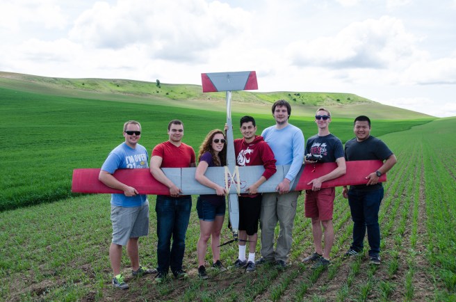 African Wild Dog Team