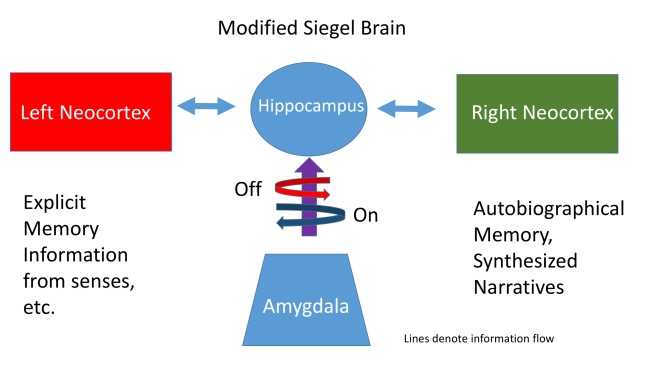 Modified Siegel Brain