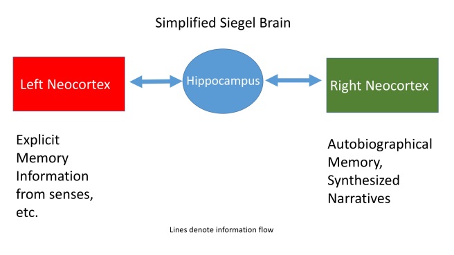 Simplified Siegel Brain