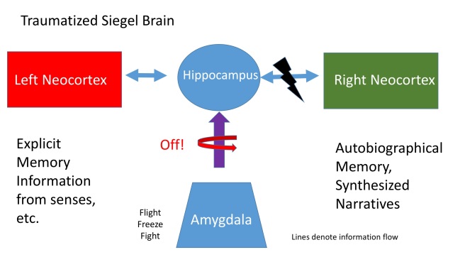 Traumatized Siegel Brain