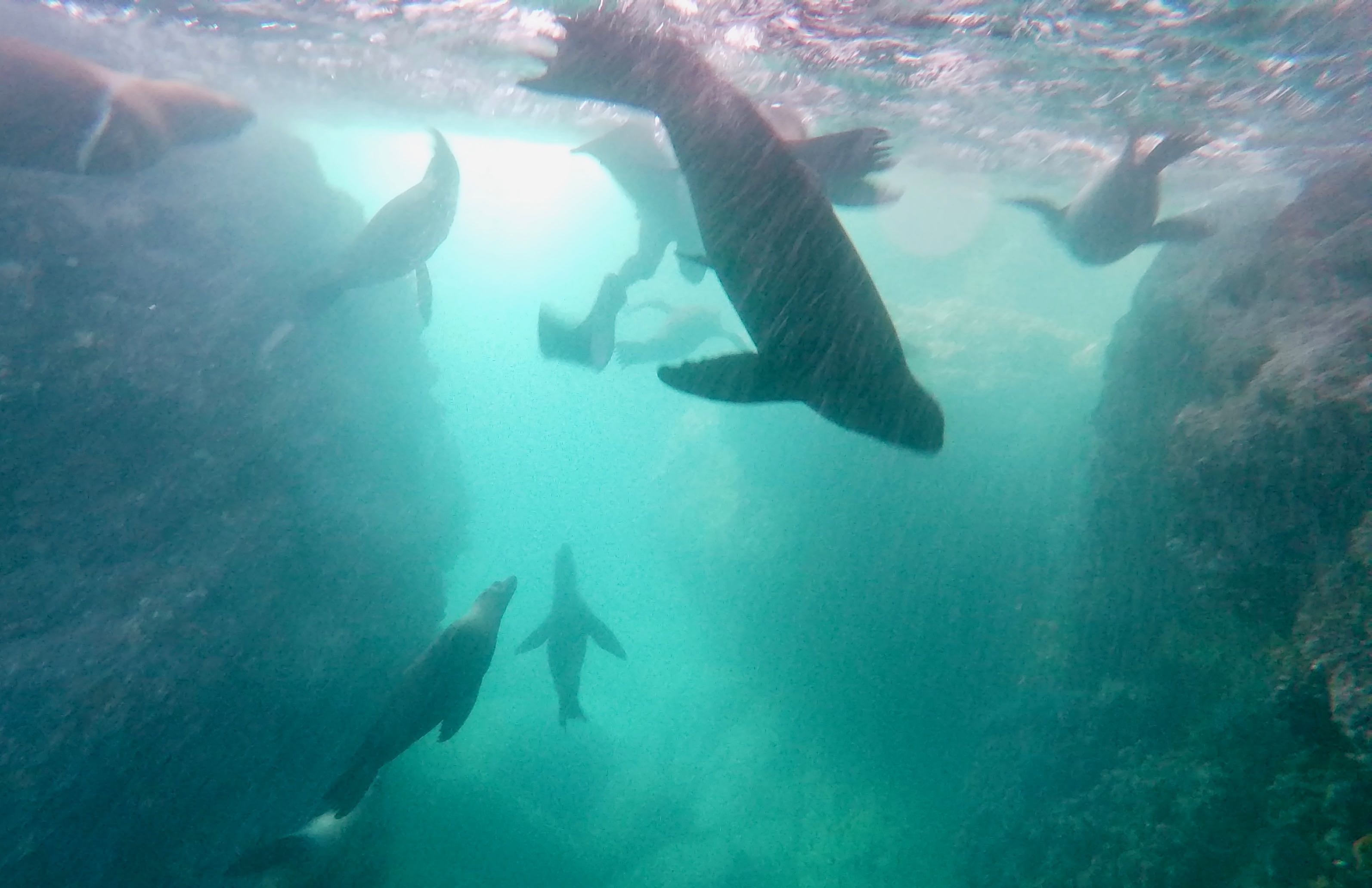 Making Ethical AI and Avoiding the Paperclip Maximizer Problem It's